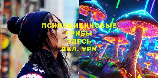 спиды Козельск